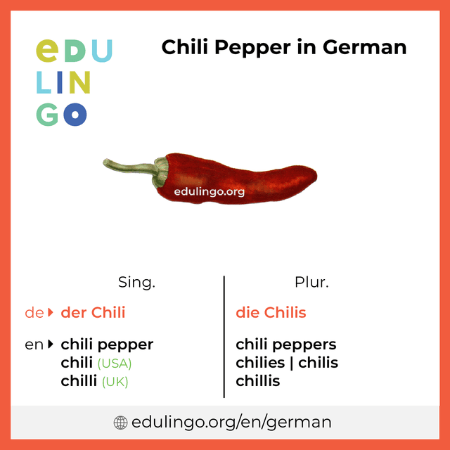 Chili Pepper in German vocabulary picture with singular and plural for download and printing