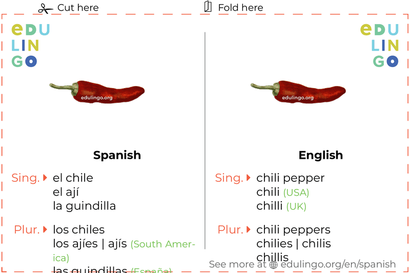 Chili Pepper in Spanish vocabulary flashcard for printing, practicing and learning