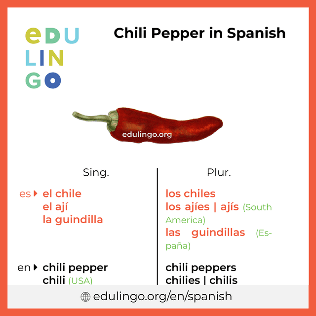 Chili Pepper in Spanish vocabulary picture with singular and plural for download and printing