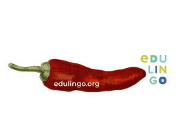 Thumbnail: Chili Pepper in Spanish