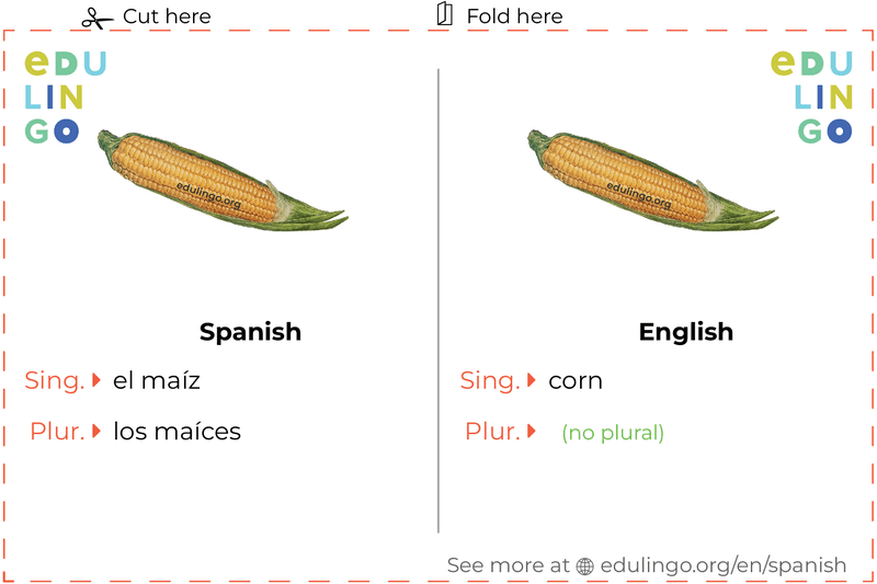 Corn in Spanish vocabulary flashcard for printing, practicing and learning