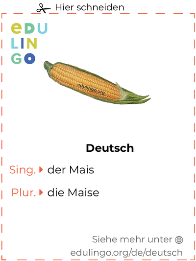 Mais auf Deutsch Vokabelkartei zum Ausdrucken, Üben und Lernen