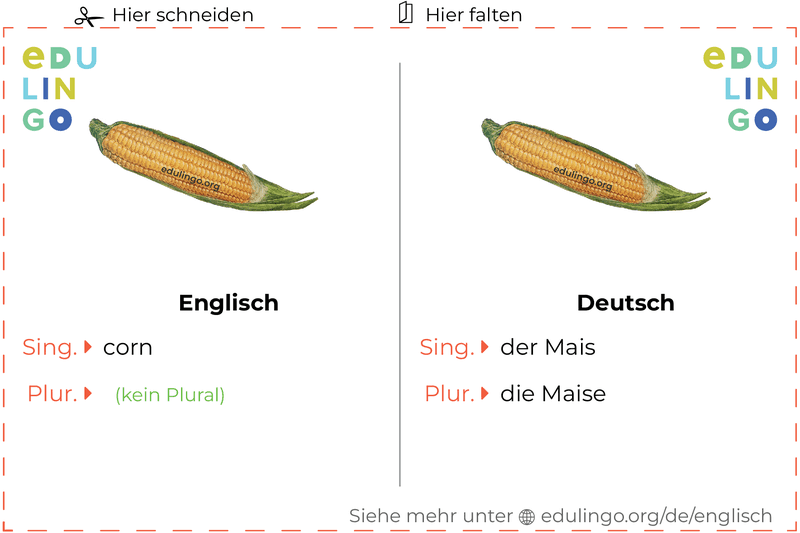 Mais auf Englisch Vokabelkartei zum Ausdrucken, Üben und Lernen