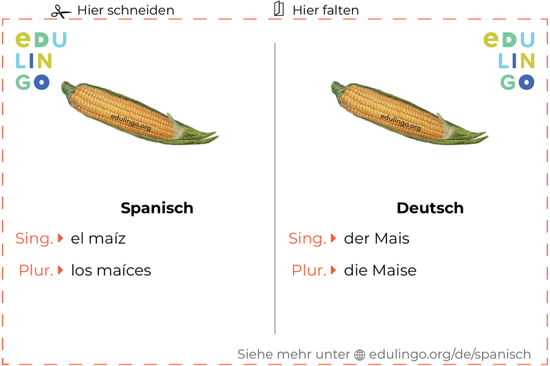 Mais auf Spanisch Vokabelkartei zum Ausdrucken, Üben und Lernen