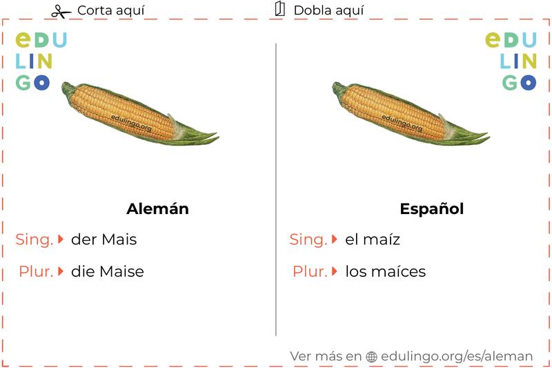 Ficha de Vocabulario Maíz en alemán para imprimir, practicar y aprender