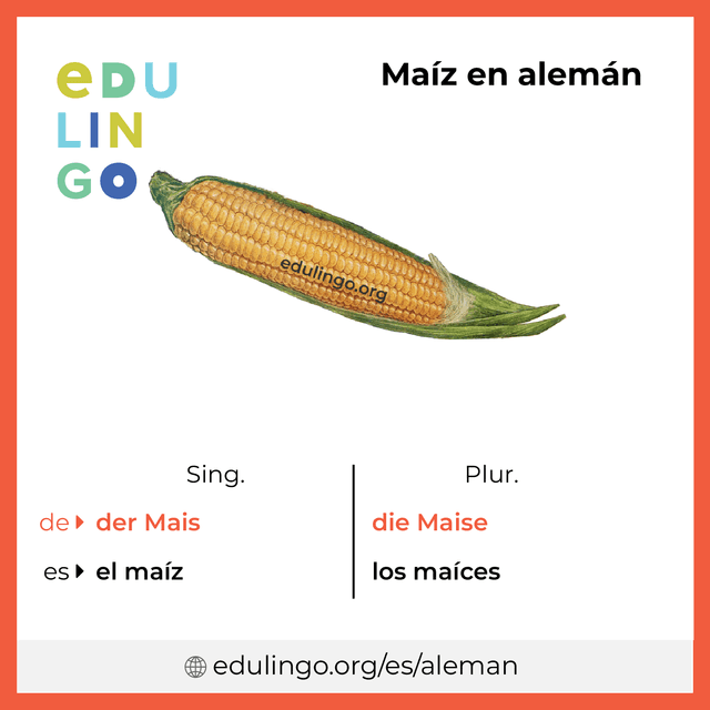 Imagen de vocabulario Maíz en alemán con singular y plural para descargar e imprimir