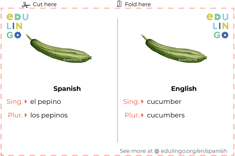 Cucumber in Spanish vocabulary flashcard for printing, practicing and learning