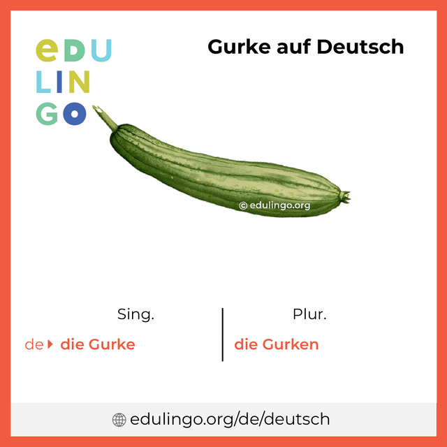 Gurke auf Deutsch Vokabelbild mit Singular und Plural zum Herunterladen und Ausdrucken