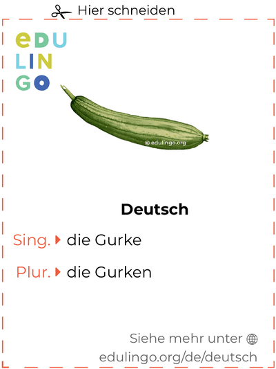 Gurke auf Deutsch Vokabelkartei zum Ausdrucken, Üben und Lernen