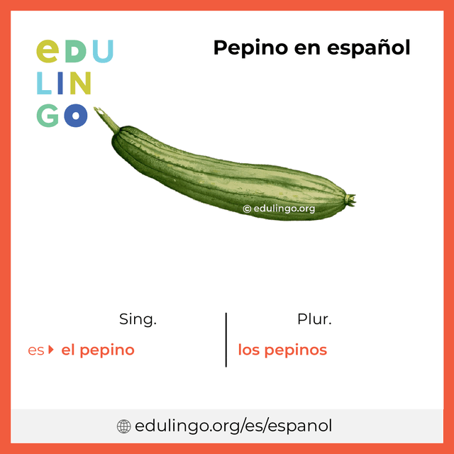 Imagen de vocabulario Pepino en español con singular y plural para descargar e imprimir