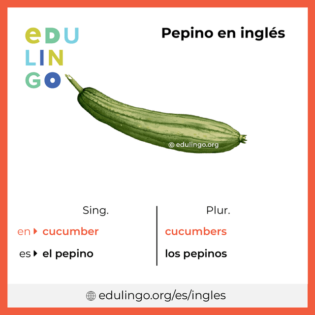 Imagen de vocabulario Pepino en inglés con singular y plural para descargar e imprimir