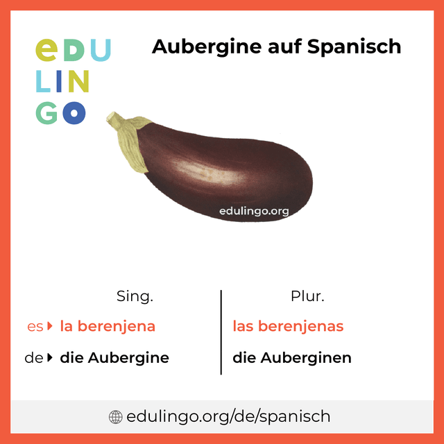 Aubergine auf Spanisch Vokabelbild mit Singular und Plural zum Herunterladen und Ausdrucken