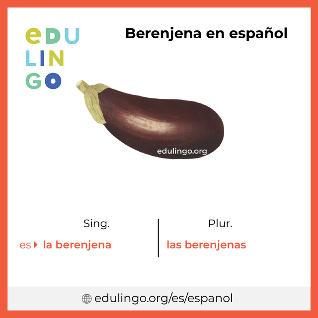 Imagen de vocabulario Berenjena en español con singular y plural para descargar e imprimir
