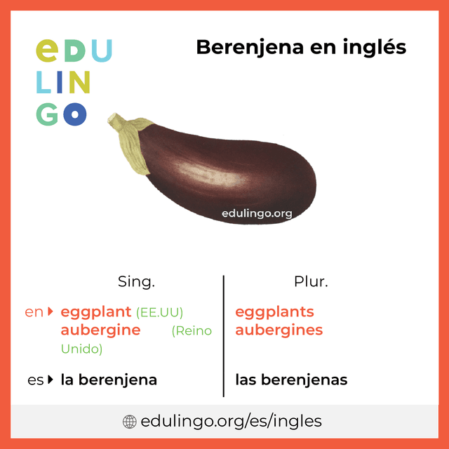 Imagen de vocabulario Berenjena en inglés con singular y plural para descargar e imprimir