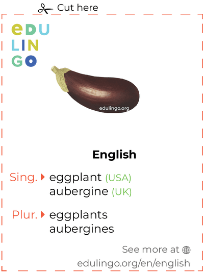 Eggplant in English vocabulary flashcard for printing, practicing and learning