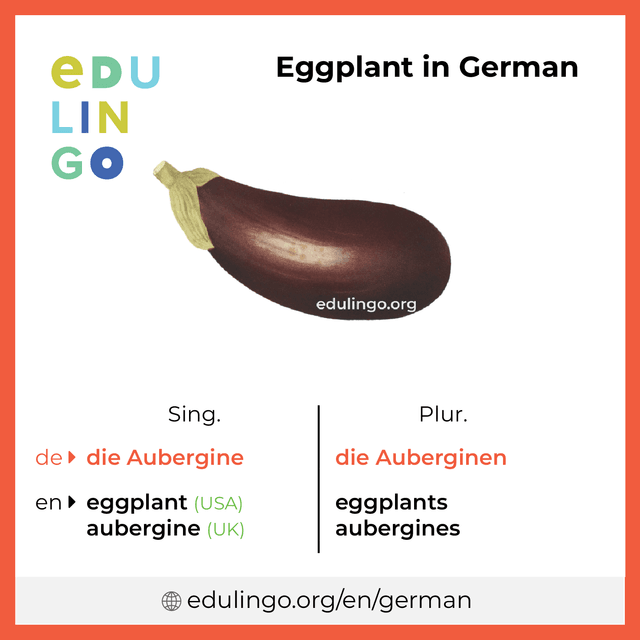 Eggplant in German vocabulary picture with singular and plural for download and printing