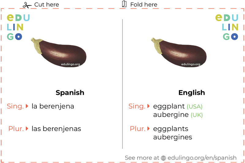Eggplant in Spanish vocabulary flashcard for printing, practicing and learning