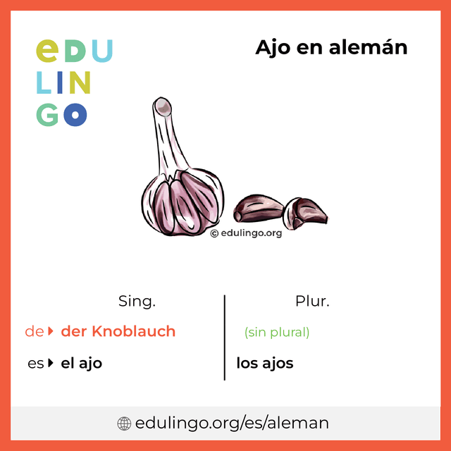 Imagen de vocabulario Ajo en alemán con singular y plural para descargar e imprimir
