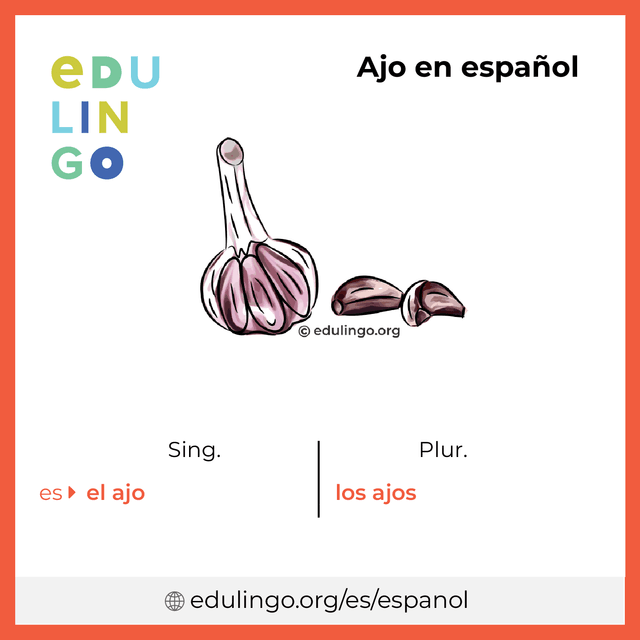 Imagen de vocabulario Ajo en español con singular y plural para descargar e imprimir