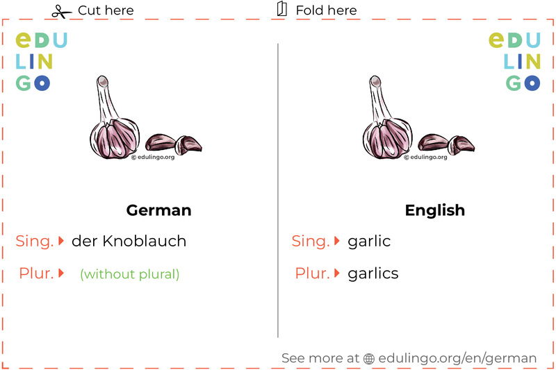 Garlic in German vocabulary flashcard for printing, practicing and learning