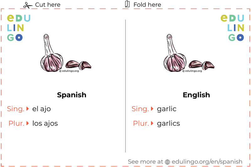 Garlic in Spanish vocabulary flashcard for printing, practicing and learning
