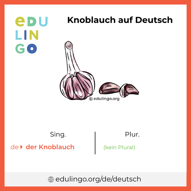 Knoblauch auf Deutsch Vokabelbild mit Singular und Plural zum Herunterladen und Ausdrucken