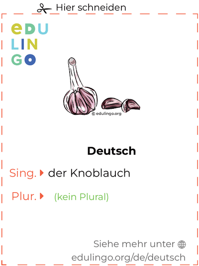 Knoblauch auf Deutsch Vokabelkartei zum Ausdrucken, Üben und Lernen
