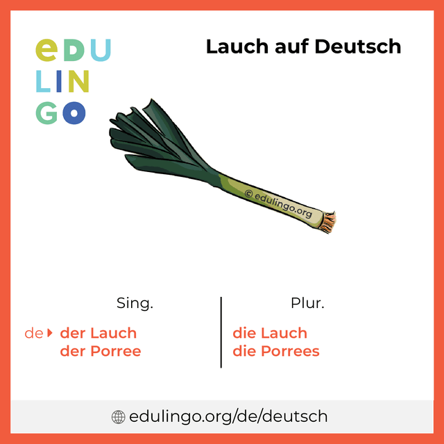 Lauch auf Deutsch Vokabelbild mit Singular und Plural zum Herunterladen und Ausdrucken