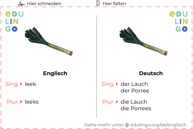 Lauch auf Englisch Vokabelkartei zum Ausdrucken, Üben und Lernen