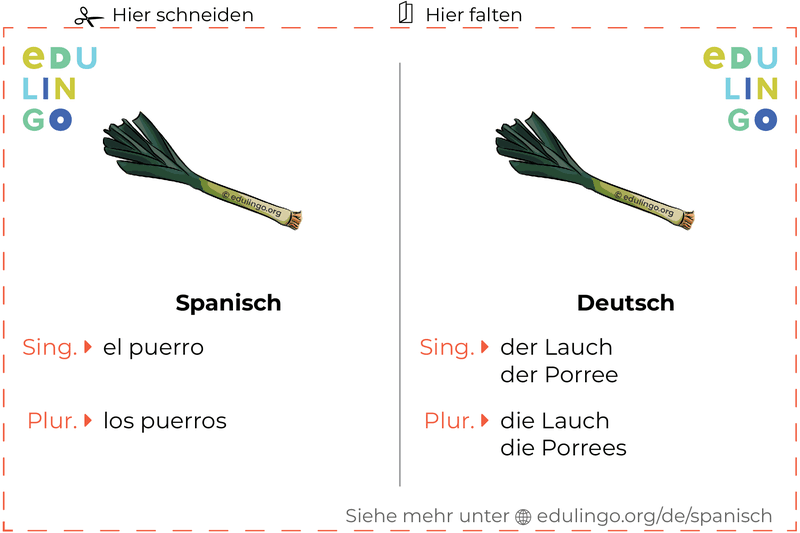Lauch auf Spanisch Vokabelkartei zum Ausdrucken, Üben und Lernen