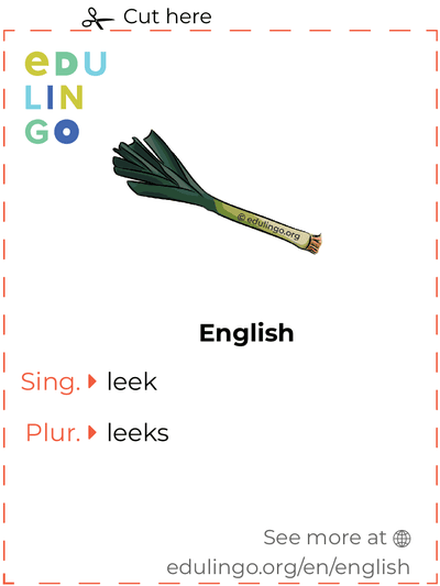 Leek in English vocabulary flashcard for printing, practicing and learning