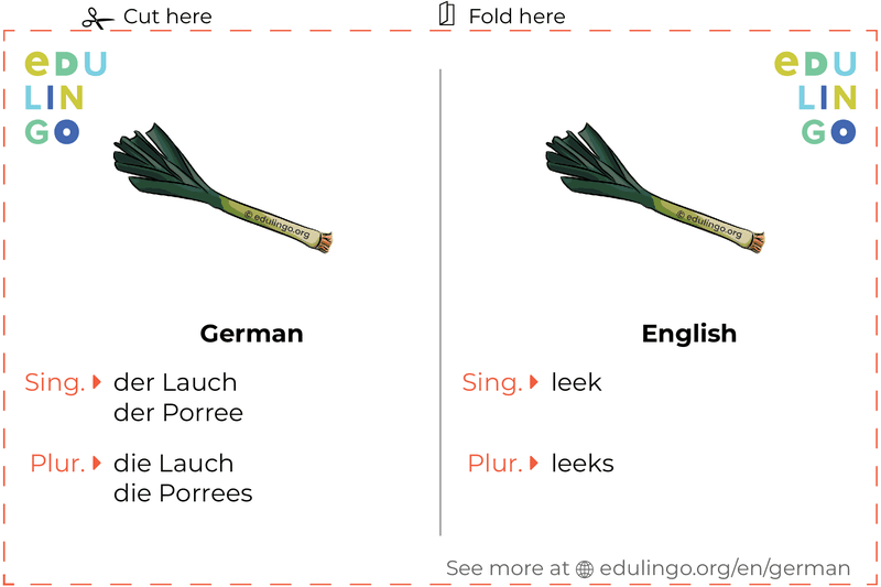 Leek in German vocabulary flashcard for printing, practicing and learning