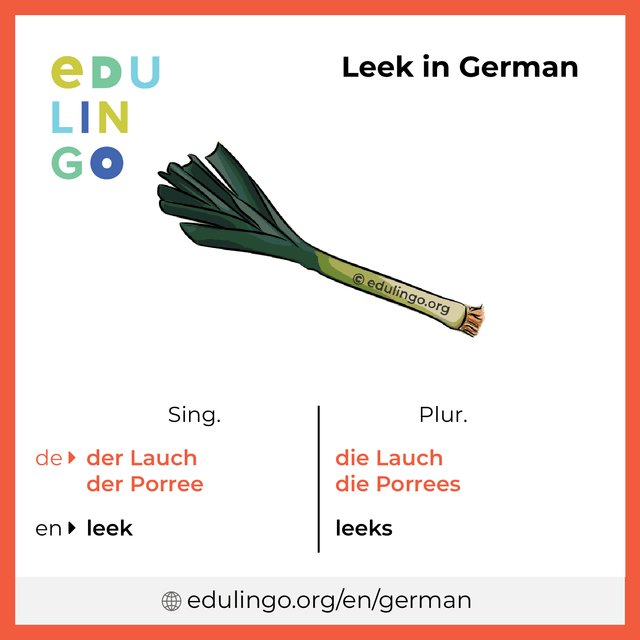 Leek in German vocabulary picture with singular and plural for download and printing