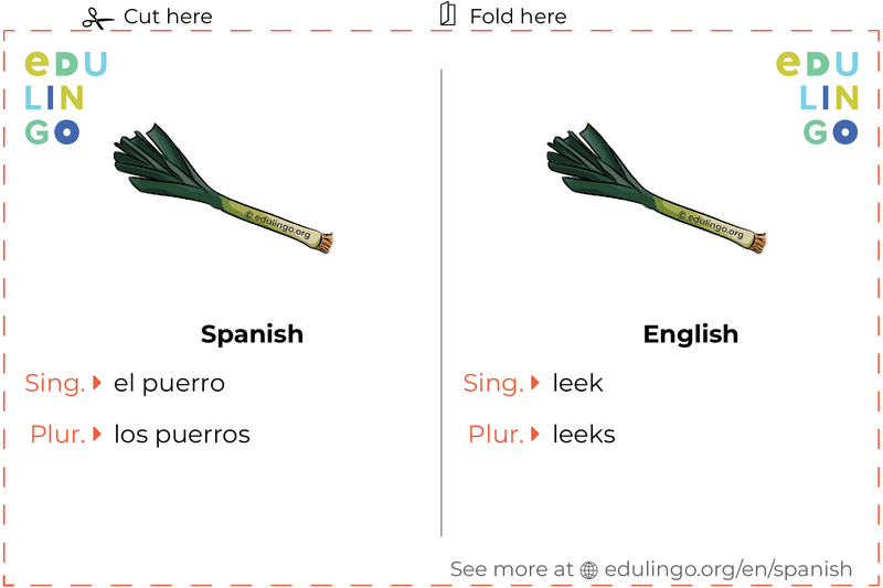 Leek in Spanish vocabulary flashcard for printing, practicing and learning
