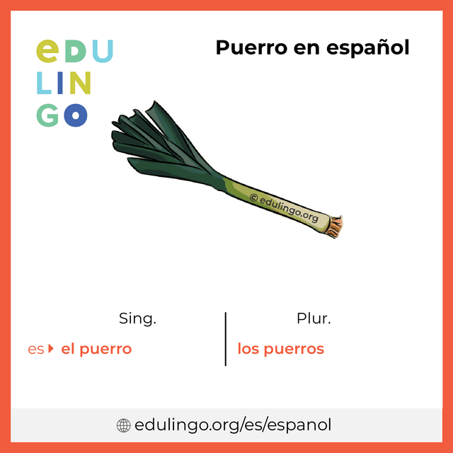 Imagen de vocabulario Puerro en español con singular y plural para descargar e imprimir
