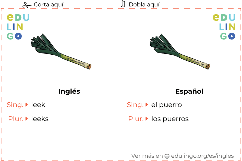 Ficha de Vocabulario Puerro en inglés para imprimir, practicar y aprender
