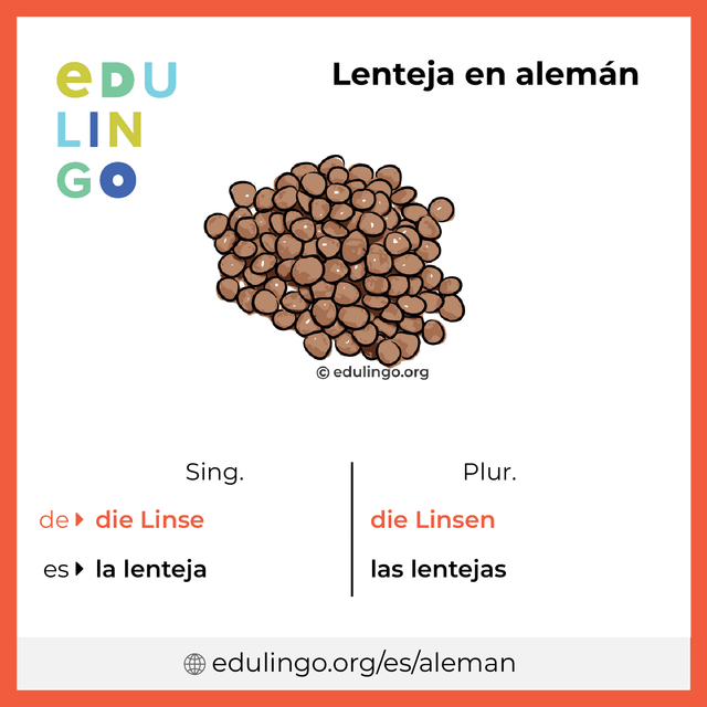 Imagen de vocabulario Lenteja en alemán con singular y plural para descargar e imprimir