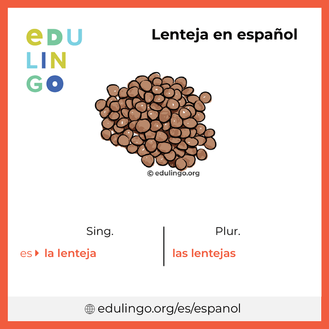 Imagen de vocabulario Lenteja en español con singular y plural para descargar e imprimir