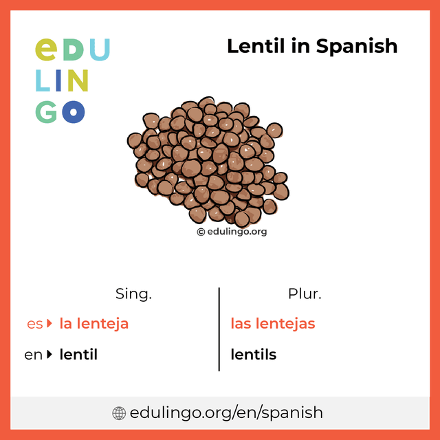 Lentil in Spanish vocabulary picture with singular and plural for download and printing