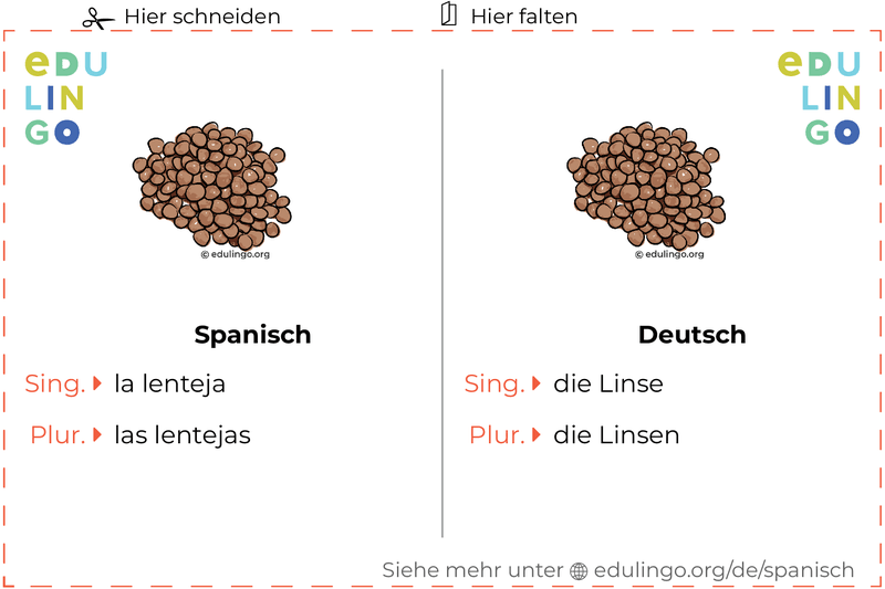 Linse auf Spanisch Vokabelkartei zum Ausdrucken, Üben und Lernen