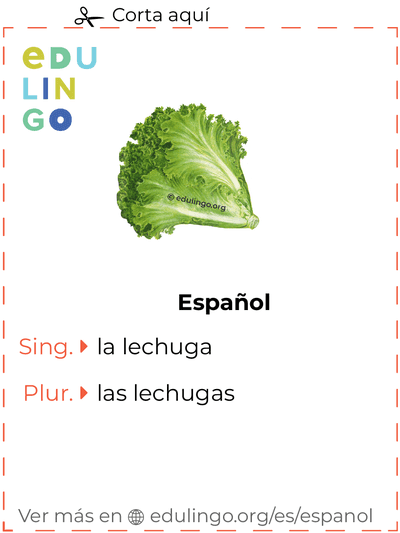 Ficha de Vocabulario Lechuga en español para imprimir, practicar y aprender
