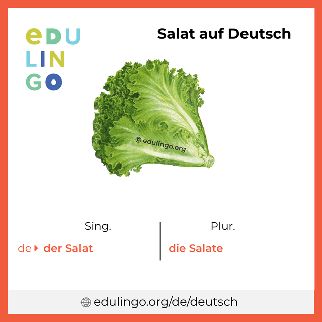 Salat auf Deutsch Vokabelbild mit Singular und Plural zum Herunterladen und Ausdrucken