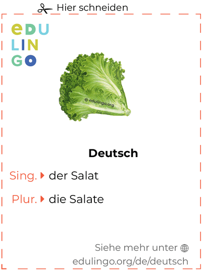 Salat auf Deutsch Vokabelkartei zum Ausdrucken, Üben und Lernen
