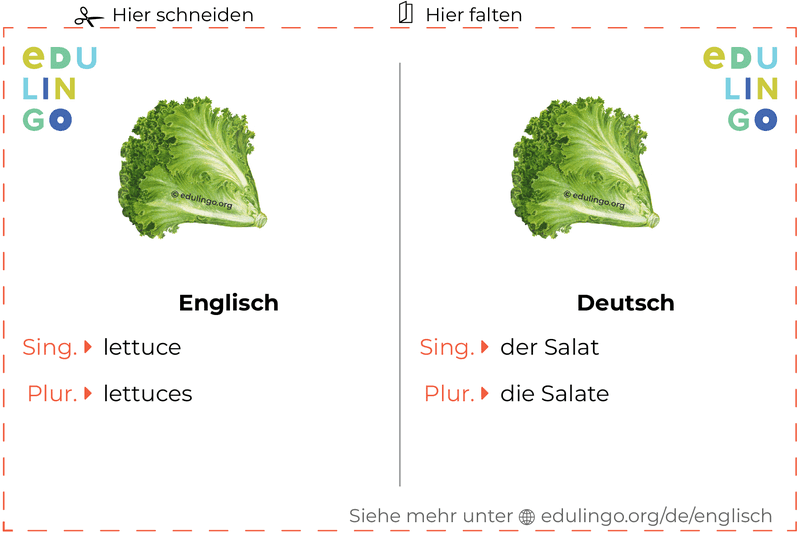 Salat auf Englisch Vokabelkartei zum Ausdrucken, Üben und Lernen