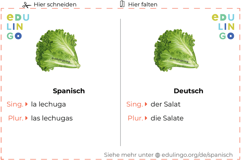 Salat auf Spanisch Vokabelkartei zum Ausdrucken, Üben und Lernen