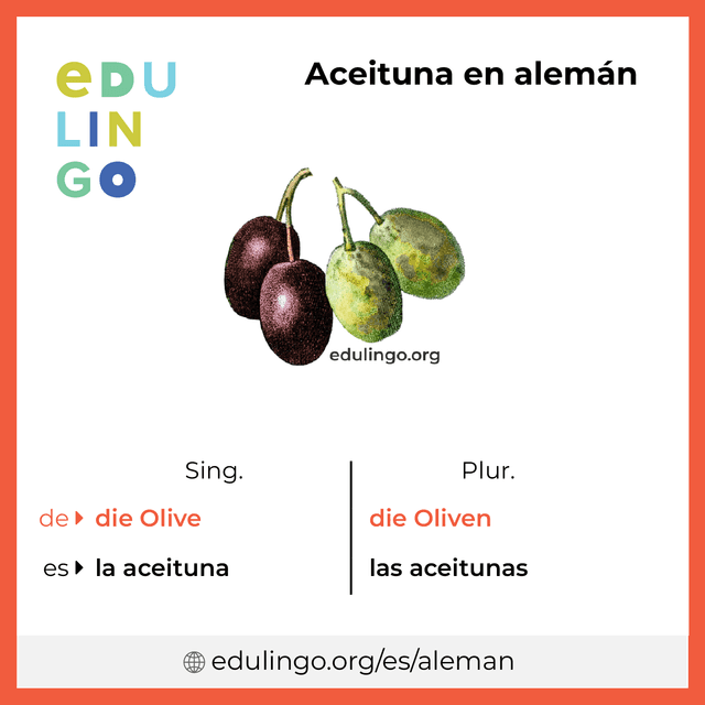Imagen de vocabulario Aceituna en alemán con singular y plural para descargar e imprimir