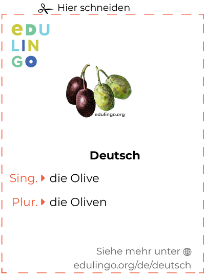 Olive auf Deutsch Vokabelkartei zum Ausdrucken, Üben und Lernen