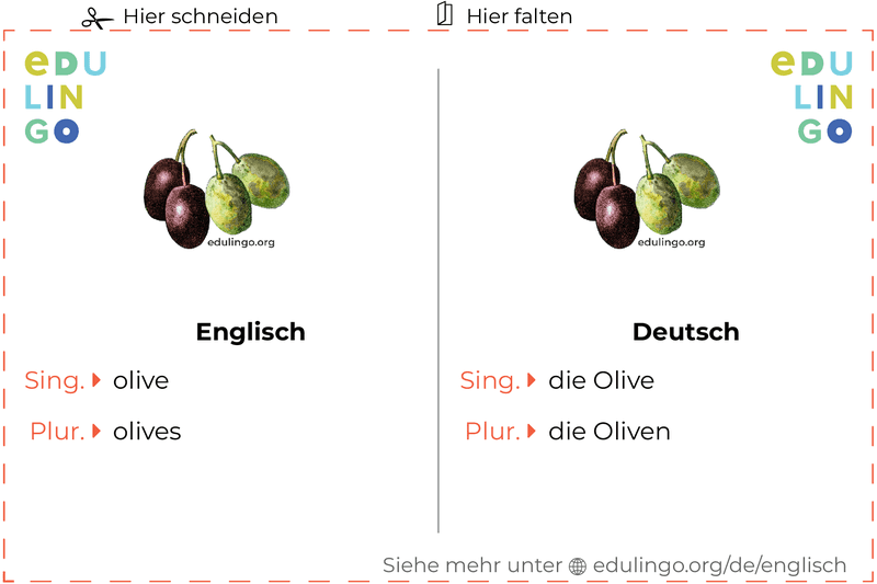 Olive auf Englisch Vokabelkartei zum Ausdrucken, Üben und Lernen
