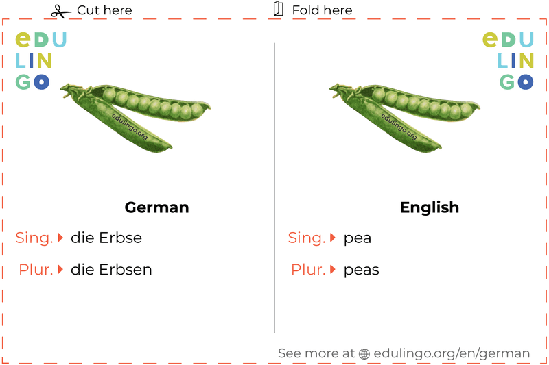 Pea in German vocabulary flashcard for printing, practicing and learning