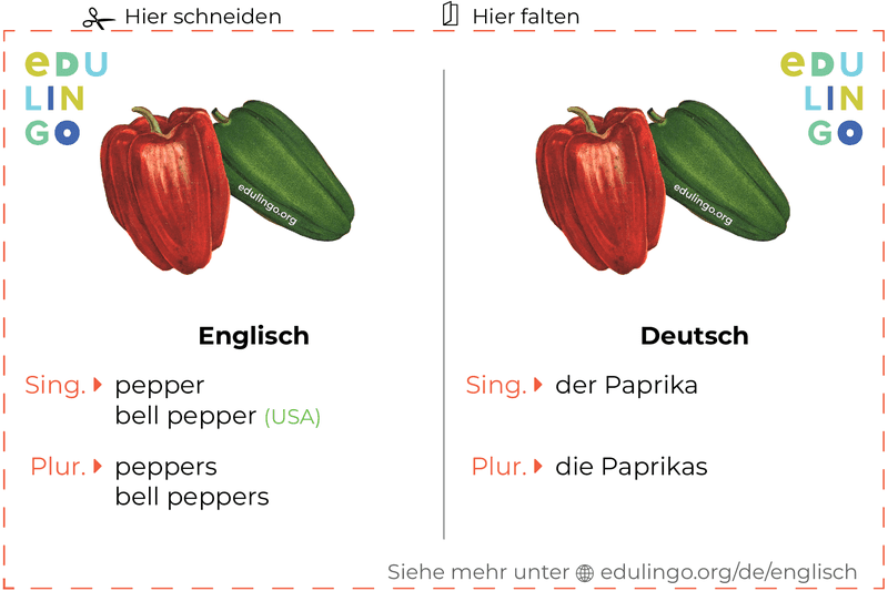 Paprika auf Englisch Vokabelkartei zum Ausdrucken, Üben und Lernen